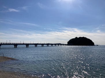竹島水族館に投稿された画像（2024/11/25）