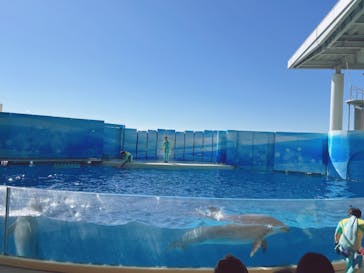 新江ノ島水族館に投稿された画像（2024/11/25）