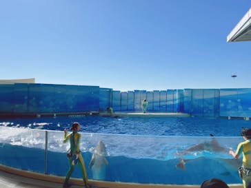 新江ノ島水族館に投稿された画像（2024/11/25）