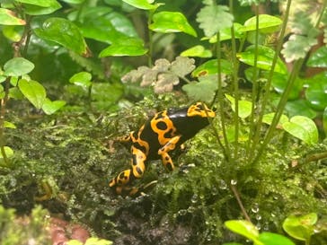 竹島水族館に投稿された画像（2024/11/25）