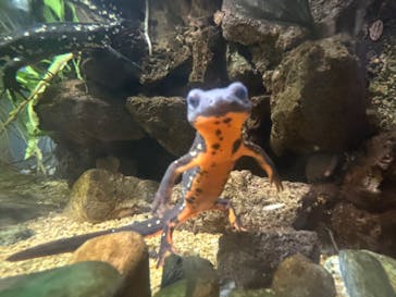 竹島水族館に投稿された画像（2024/11/25）