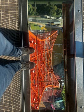 東京タワーに投稿された画像（2024/11/25）