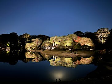 六義園に投稿された画像（2024/11/26）