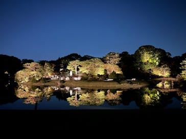 六義園に投稿された画像（2024/11/26）