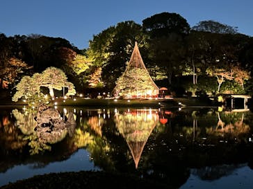 六義園に投稿された画像（2024/11/26）