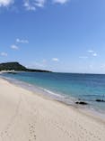 Dive Center OKKYに投稿された画像（2024/11/26）