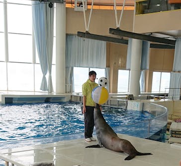 アクアワールド茨城県大洗水族館に投稿された画像（2024/11/26）