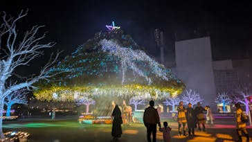 東京メガイルミに投稿された画像（2024/11/26）