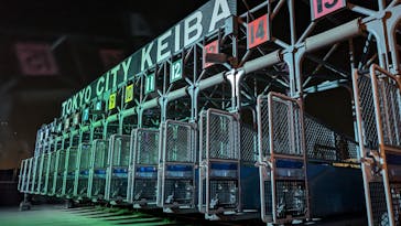 東京メガイルミに投稿された画像（2024/11/26）