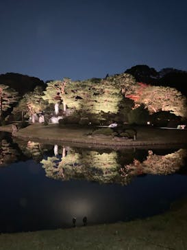六義園に投稿された画像（2024/11/26）