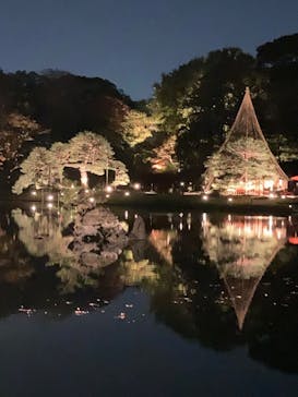 六義園に投稿された画像（2024/11/26）