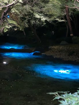 六義園に投稿された画像（2024/11/26）