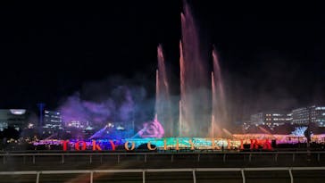 東京メガイルミに投稿された画像（2024/11/26）