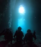 沖縄マリンサービス碧に投稿された画像（2024/11/26）