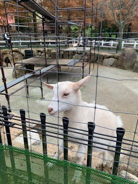 神戸市立六甲山牧場に投稿された画像（2024/11/26）