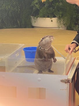 マクセル アクアパーク品川に投稿された画像（2024/11/26）