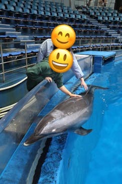 マクセル アクアパーク品川に投稿された画像（2024/11/26）