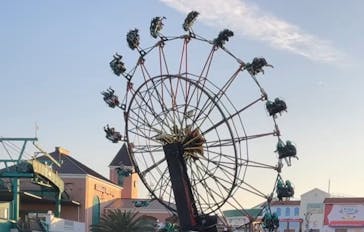 浜名湖パルパルに投稿された画像（2024/11/26）