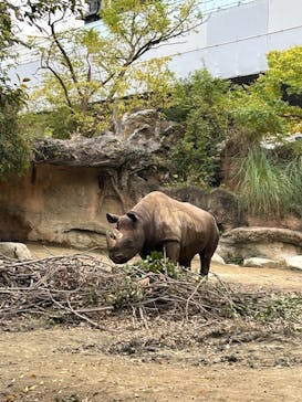 天王寺動物園に投稿された画像（2024/11/26）