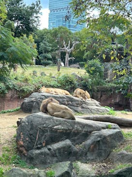 天王寺動物園に投稿された画像（2024/11/26）