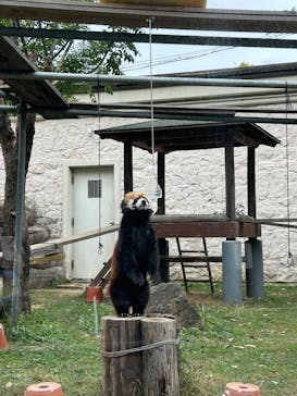 天王寺動物園に投稿された画像（2024/11/26）