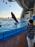 マリンワールド海の中道に投稿された画像（2024/11/26）