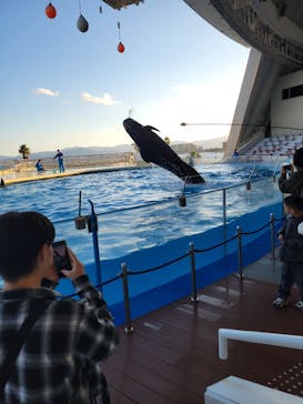 マリンワールド海の中道に投稿された画像（2024/11/26）