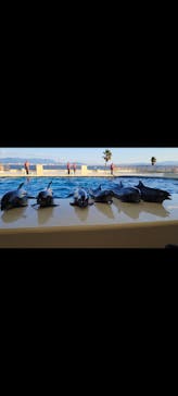 マリンワールド海の中道に投稿された画像（2024/11/26）