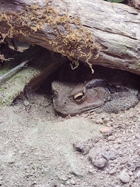 マリンワールド海の中道に投稿された画像（2024/11/26）