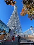 東京スカイツリーに投稿された画像（2024/11/26）