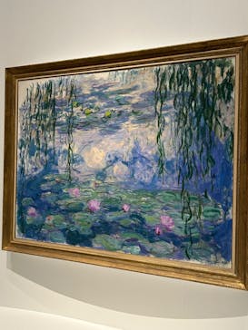 モネ 睡蓮のとき（国立西洋美術館）に投稿された画像（2024/11/26）