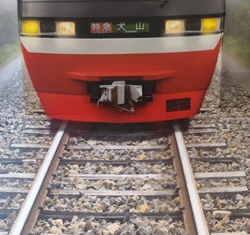 日本モンキーパークに投稿された画像（2024/11/26）