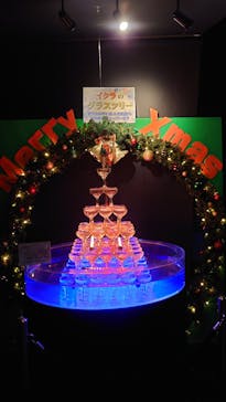 サケのふるさと 千歳水族館に投稿された画像（2024/11/26）