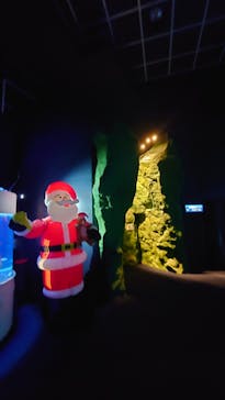 サケのふるさと 千歳水族館に投稿された画像（2024/11/26）