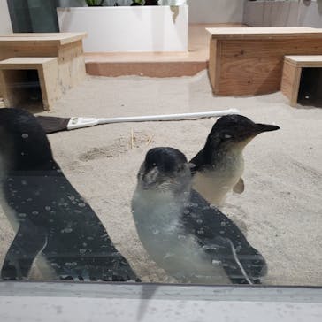 AOAO SAPPOROに投稿された画像（2024/11/26）