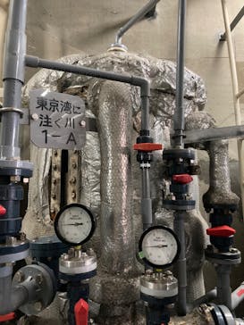 しながわ水族館に投稿された画像（2024/11/26）