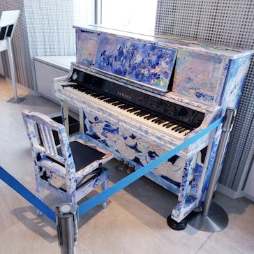 サンシャイン60展望台に投稿された画像（2024/11/26）