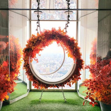 サンシャイン60展望台に投稿された画像（2024/11/26）