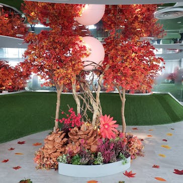 サンシャイン60展望台に投稿された画像（2024/11/26）