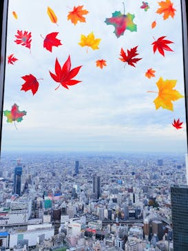 サンシャイン60展望台に投稿された画像（2024/11/26）