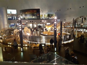 福井県立恐竜博物館に投稿された画像（2024/11/26）