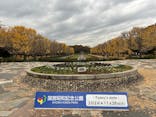 国営昭和記念公園 秋の夜散歩に投稿された画像（2024/11/26）