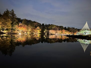 国営昭和記念公園 秋の夜散歩に投稿された画像（2024/11/26）