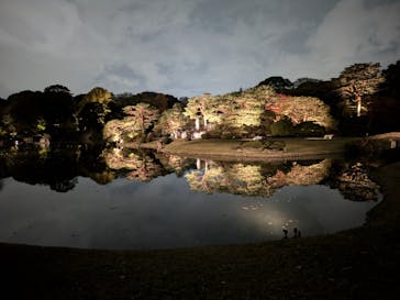 六義園に投稿された画像（2024/11/26）