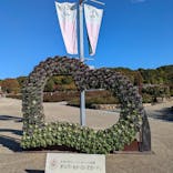 ぎふワールド・ローズガーデンに投稿された画像（2024/11/26）