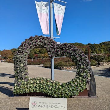ぎふワールド・ローズガーデンに投稿された画像（2024/11/26）
