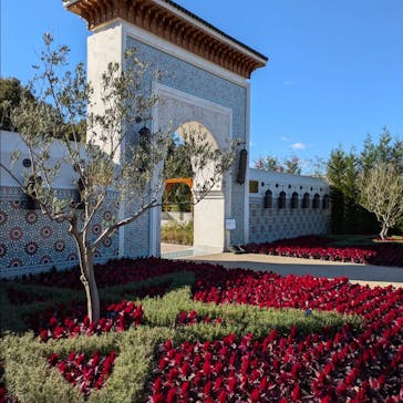 ぎふワールド・ローズガーデンに投稿された画像（2024/11/26）