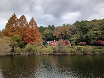 ムーミンバレーパークに投稿された画像（2024/11/26）