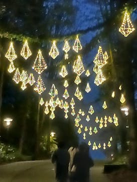 ムーミンバレーパークに投稿された画像（2024/11/26）