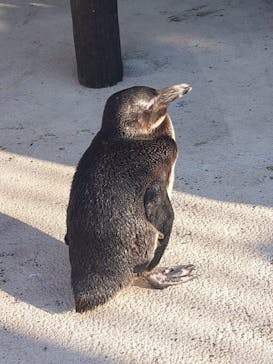 横浜・八景島シーパラダイスに投稿された画像（2024/11/26）